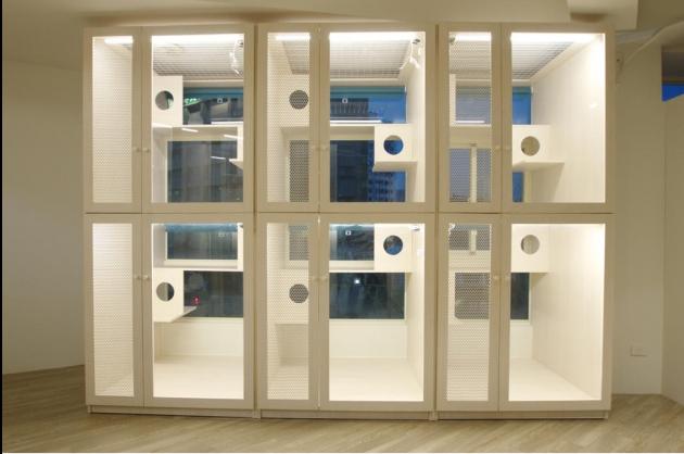 B區陽光舒活屋 1