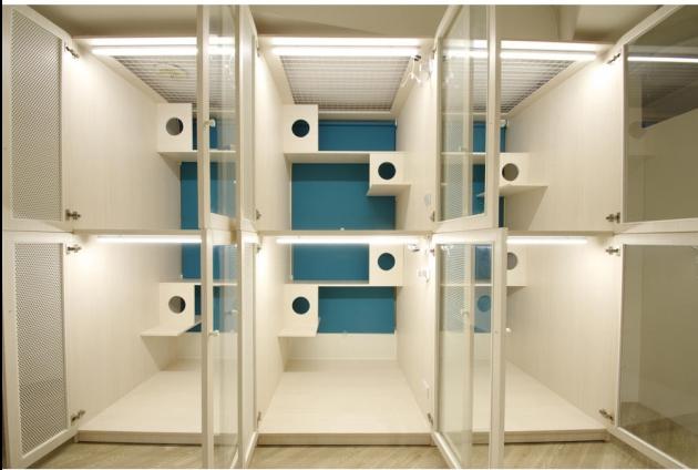 B區陽光舒活屋 3