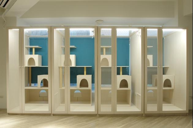 A區陽光彈跳屋 4