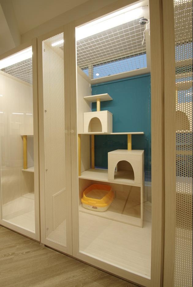 A區陽光彈跳屋 2