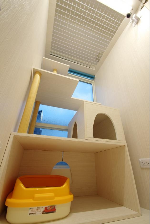 A區陽光彈跳屋 3